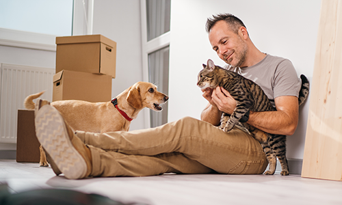 Pet-insurance-cat-dog